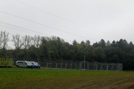 Maulbach forest after tree cuttings 2020-10-08 67