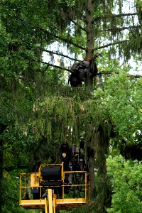 Maulbach forest blockades and protests 2020-10-06 73