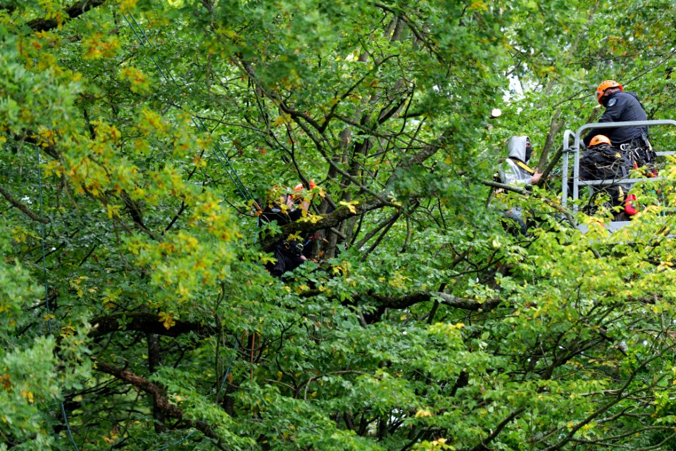 Maulbach forest blockades and protests 2020-10-05 98