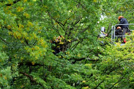 Maulbach forest blockades and protests 2020-10-05 98