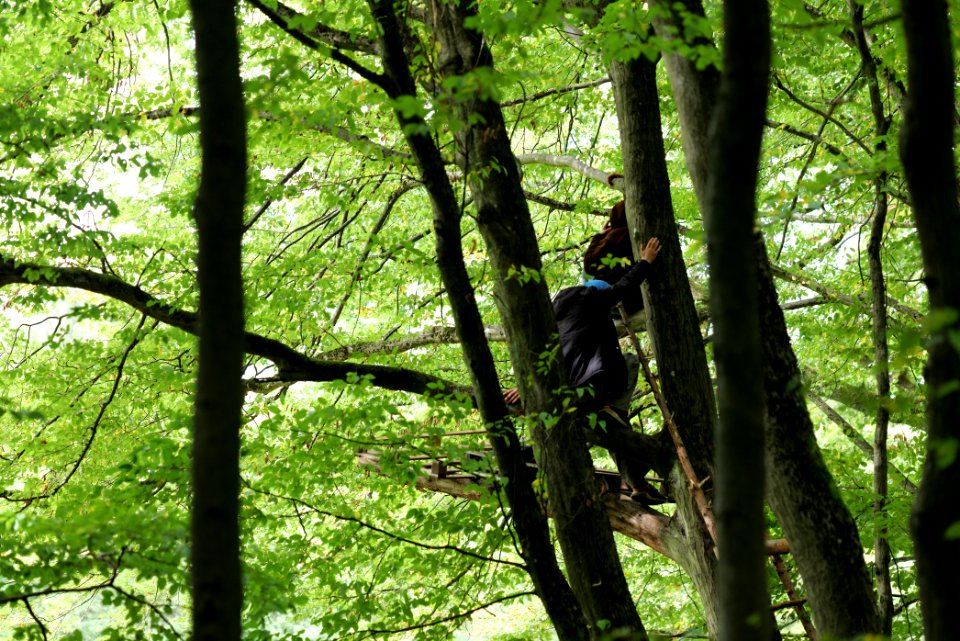 Maulbach forest blockades and protests 2020-10-05 53