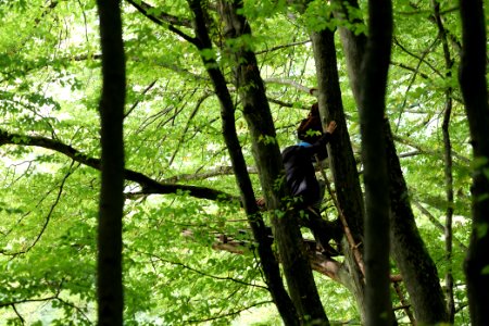 Maulbach forest blockades and protests 2020-10-05 53