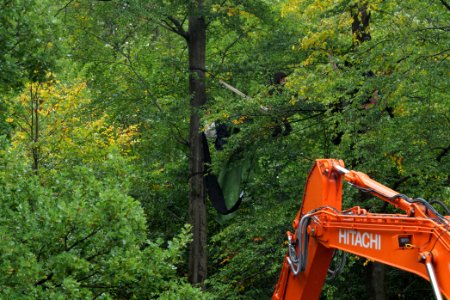 Maulbach forest blockades and protests 2020-10-06 14