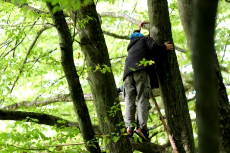 Maulbach forest blockades and protests 2020-10-05 52