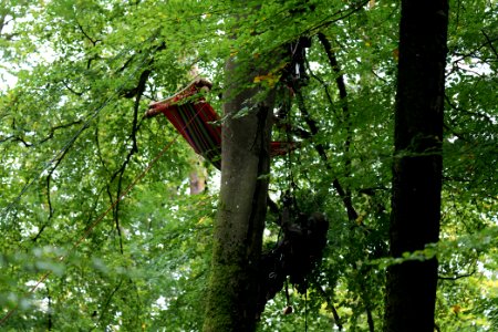 Maulbach forest blockades and protests 2020-10-05 33