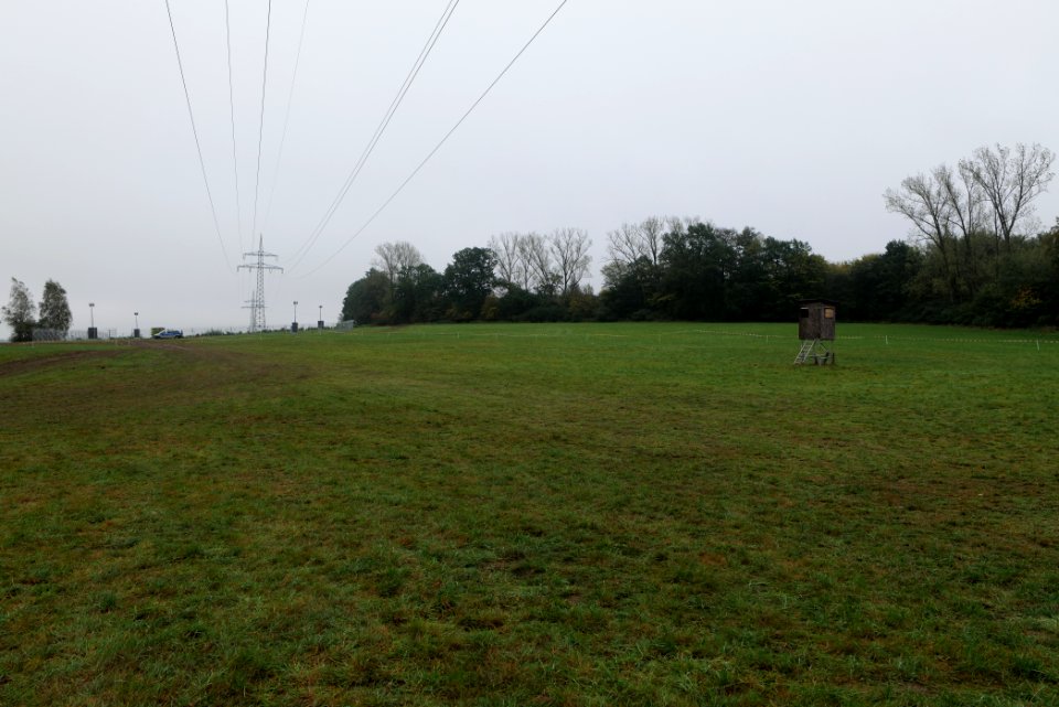 Maulbach forest after tree cuttings 2020-10-08 51