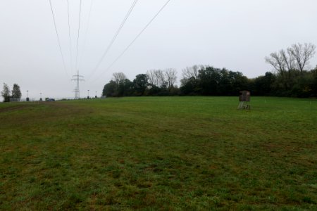 Maulbach forest after tree cuttings 2020-10-08 51