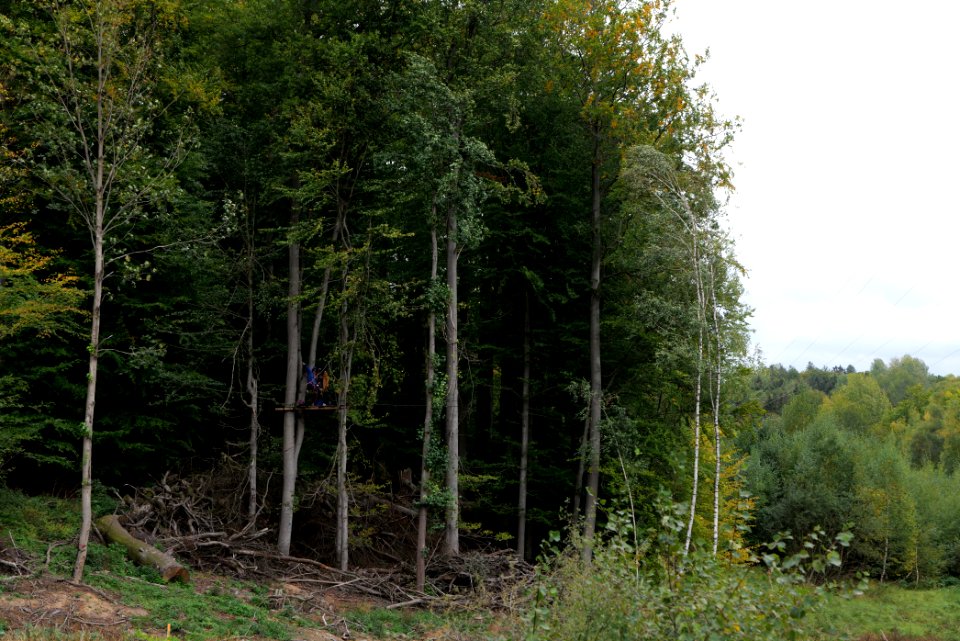 Maulbach forest blockades and protests 2020-10-05 07