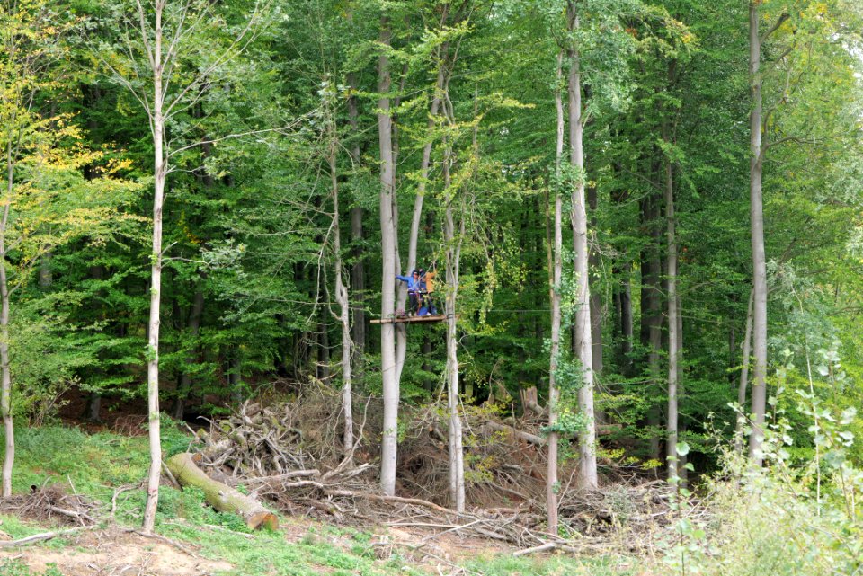Maulbach forest blockades and protests 2020-10-05 04