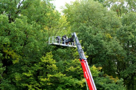 Maulbach forest blockades and protests 2020-10-05 84
