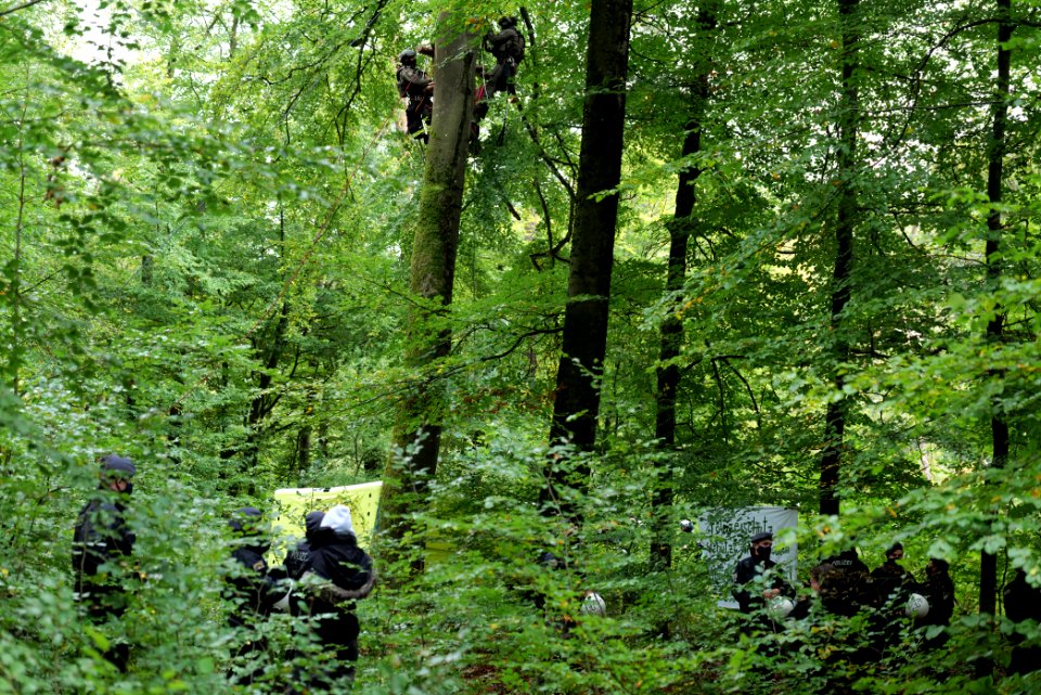 Maulbach forest blockades and protests 2020-10-05 47