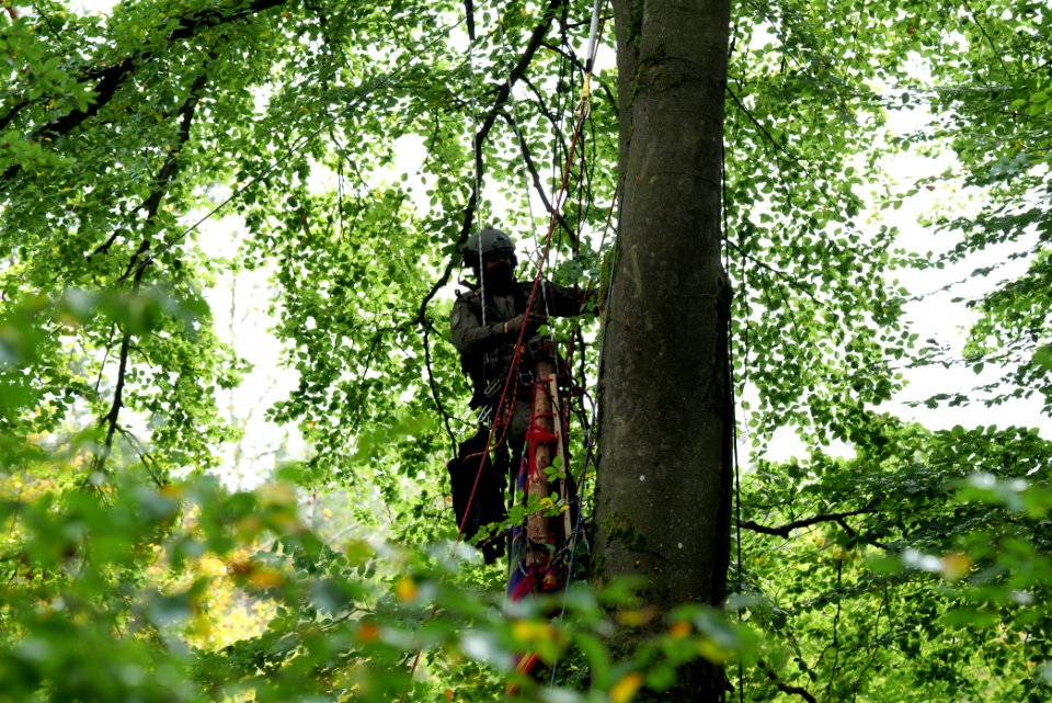 Maulbach forest blockades and protests 2020-10-05 50