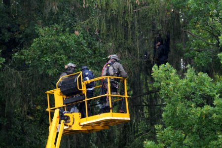 Maulbach forest blockades and protests 2020-10-06 10