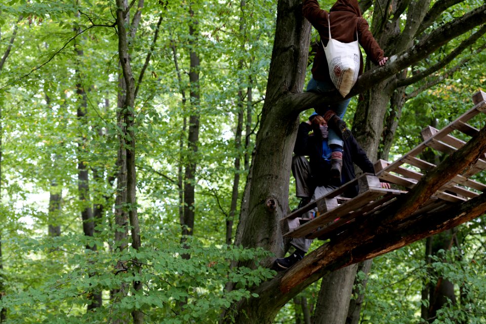Maulbach forest blockades and protests 2020-10-05 66