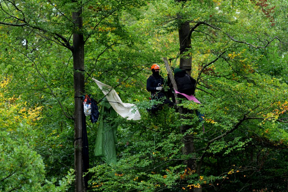 Maulbach forest blockades and protests 2020-10-06 61