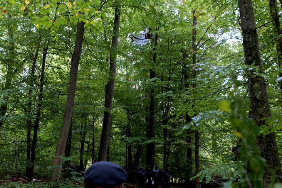 Maulbach forest blockades and protests 2020-10-05 82