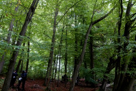 Maulbach forest blockades and protests 2020-10-05 79
