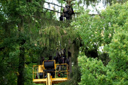 Maulbach forest blockades and protests 2020-10-06 72