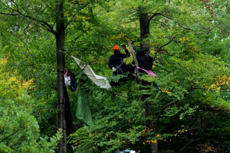Maulbach forest blockades and protests 2020-10-06 60