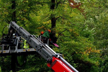 Maulbach forest blockades and protests 2020-10-06 57