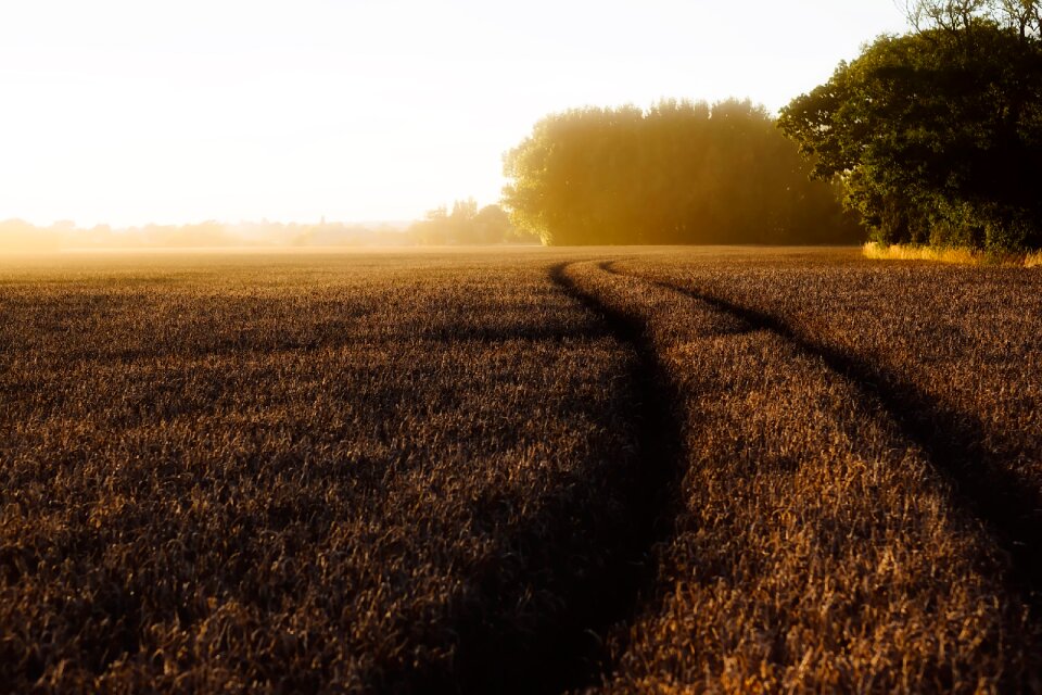 Sunrise dawn morning
