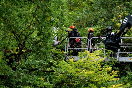 Maulbach forest blockades and protests 2020-10-05 94