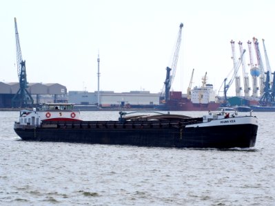 Mauna Kea - ENI 06001850, Port of Antwerp
