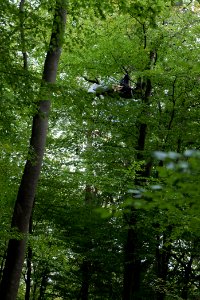 Maulbach forest blockades and protests 2020-10-05 70