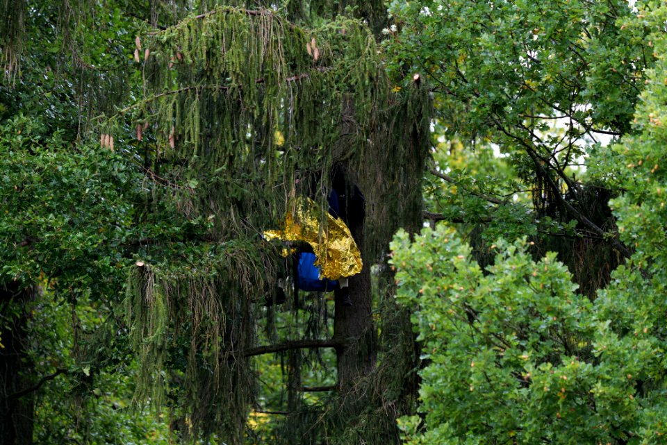 Maulbach forest blockades and protests 2020-10-06 64