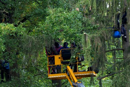 Maulbach forest blockades and protests 2020-10-06 55