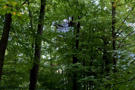 Maulbach forest blockades and protests 2020-10-05 81