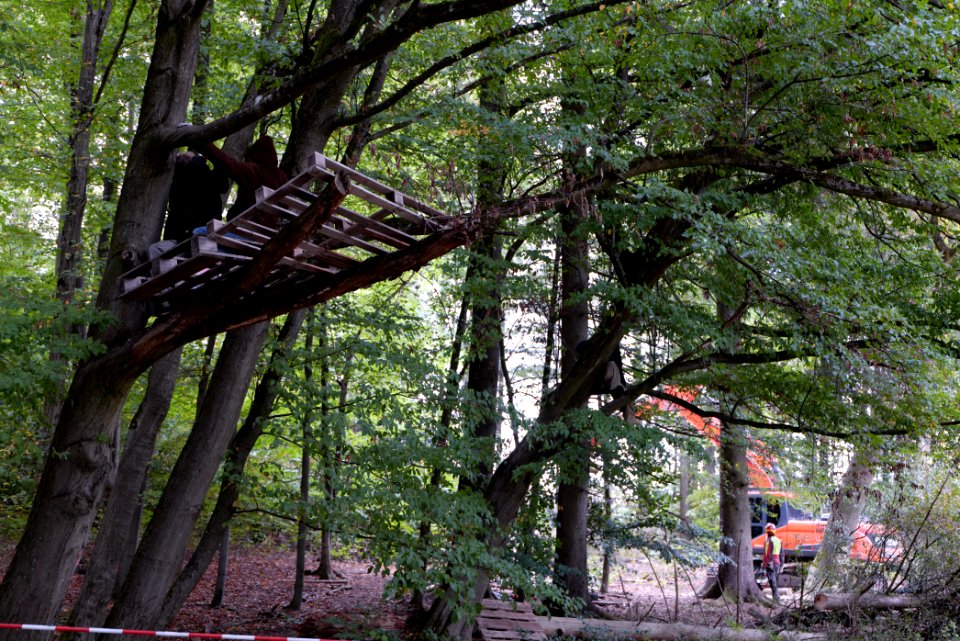 Maulbach forest blockades and protests 2020-10-05 109