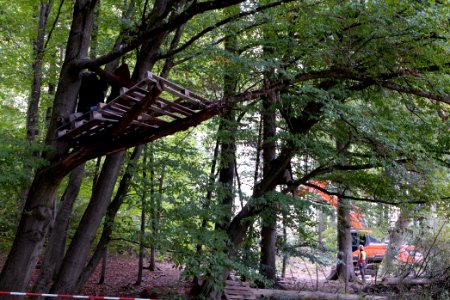 Maulbach forest blockades and protests 2020-10-05 109