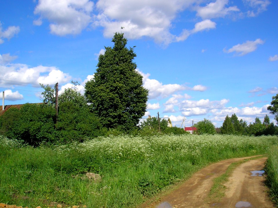 Matveykovo 7