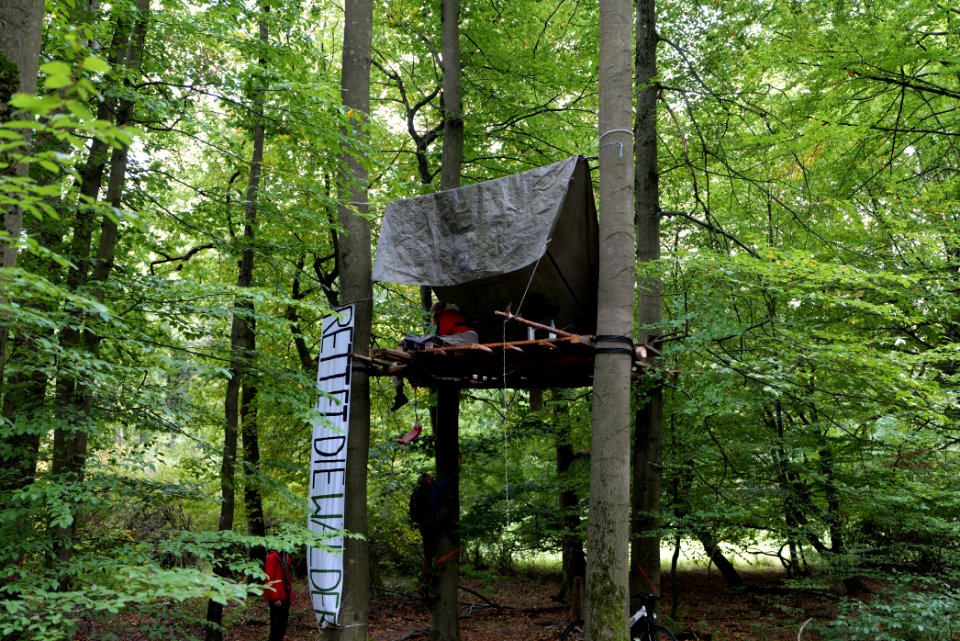 Maulbach forest blockades and protests 2020-10-05 20