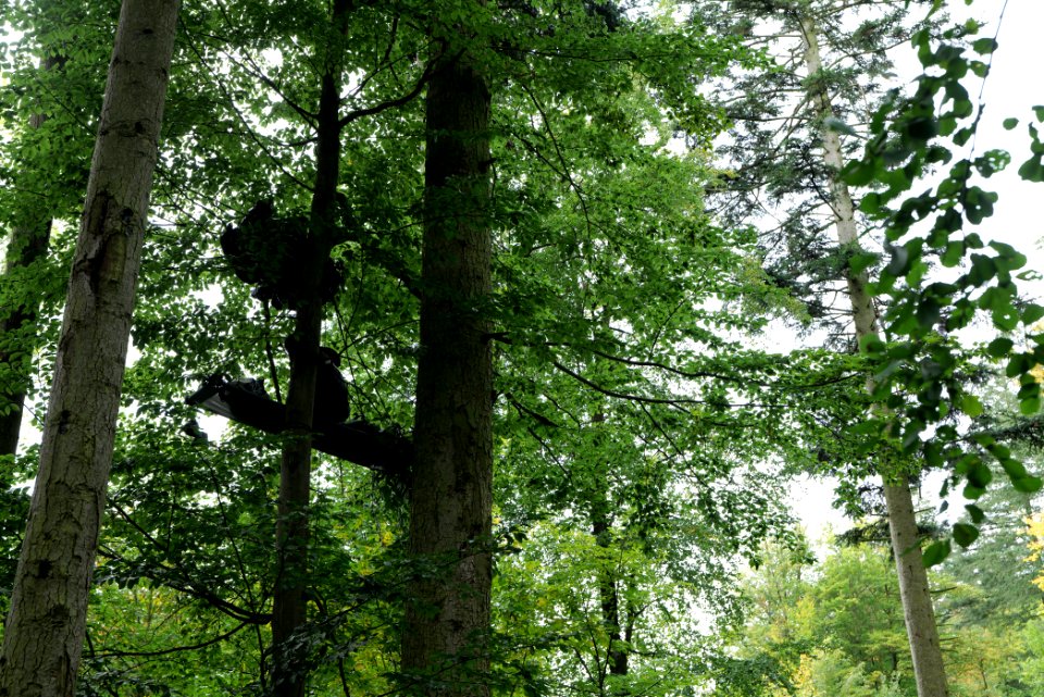 Maulbach forest blockades and protests 2020-10-05 12
