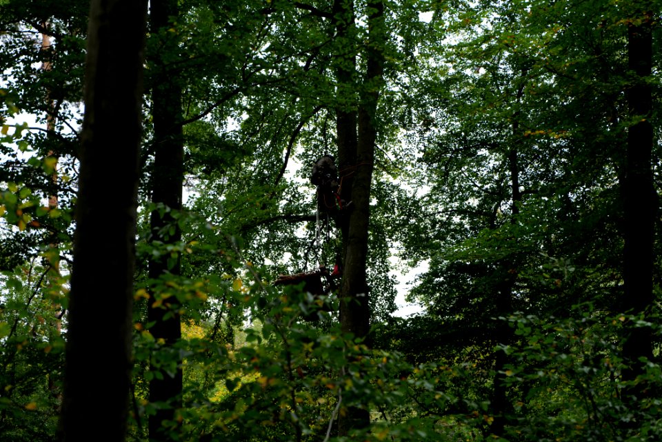 Maulbach forest blockades and protests 2020-10-05 23