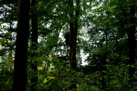 Maulbach forest blockades and protests 2020-10-05 23