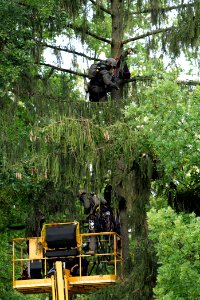 Maulbach forest blockades and protests 2020-10-06 74