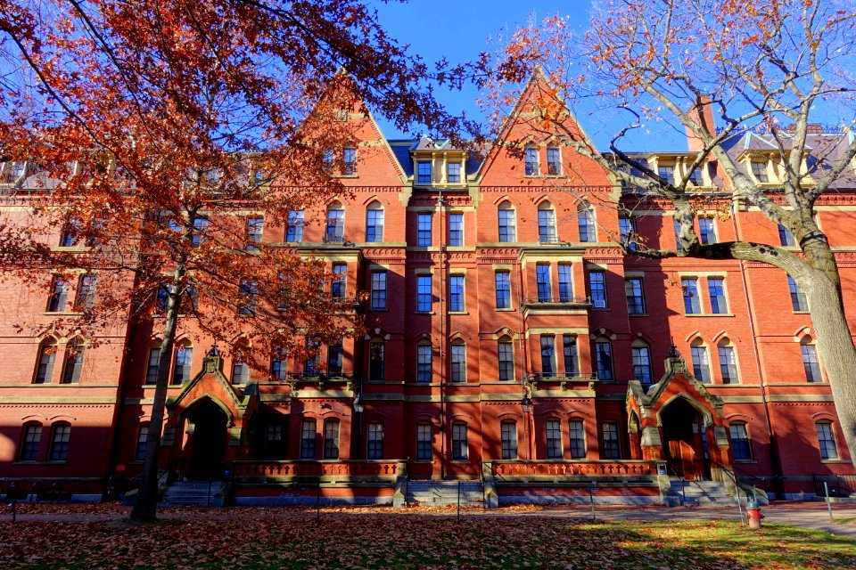 Matthews Hall - Harvard University - DSC01564