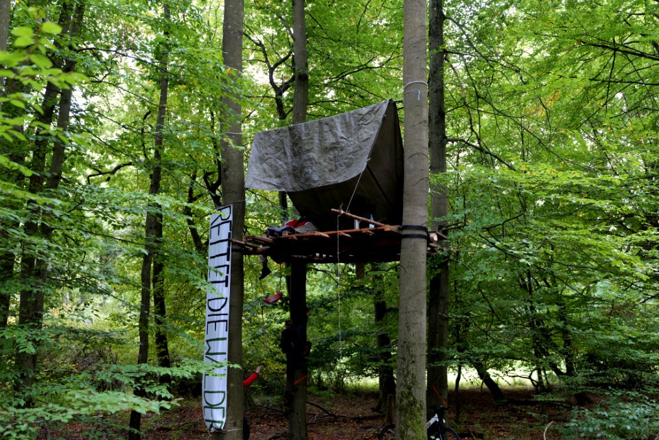 Maulbach forest blockades and protests 2020-10-05 21