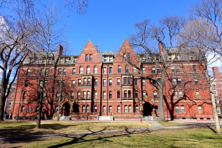 Matthews Hall - Harvard University - DSC00658 photo