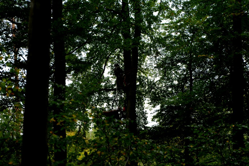 Maulbach forest blockades and protests 2020-10-05 22