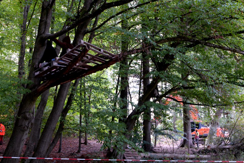 Maulbach forest blockades and protests 2020-10-05 108
