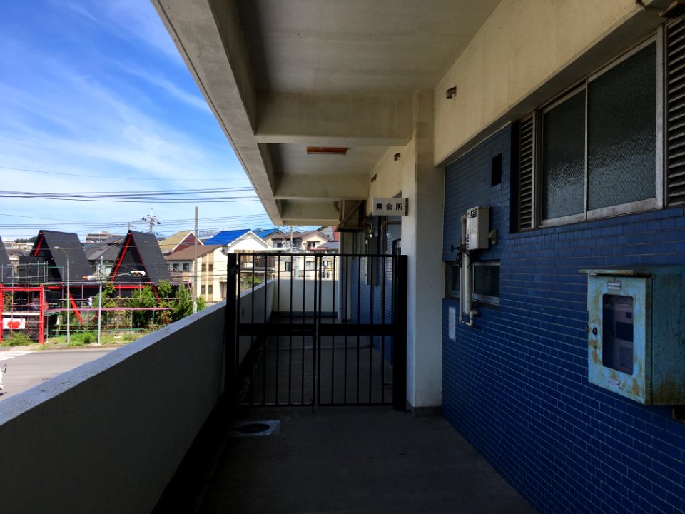 Matsudo nogikuno shukaijo03