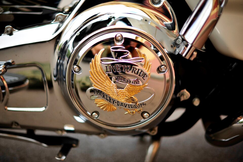 Harley davidson bike