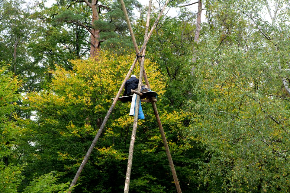 Maulbach forest blockades and protests 2020-10-05 17