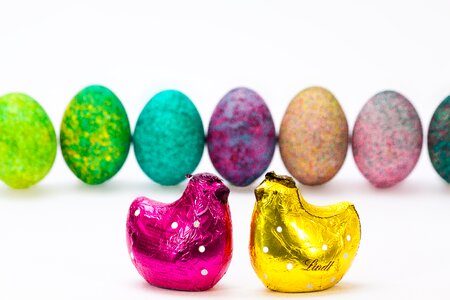 Colorful easter egg hen photo