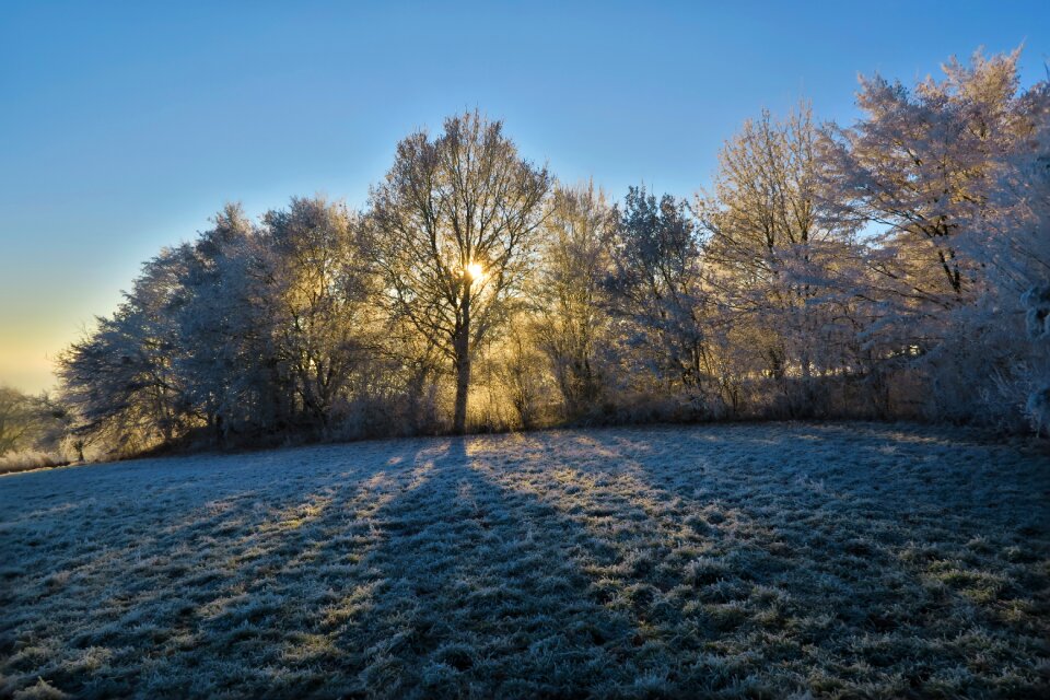 Winter frost field