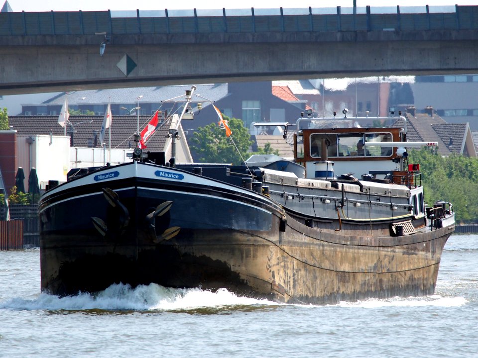 Maurice - ENI 03110168, Amsterdam-Rijnkanaal pic1